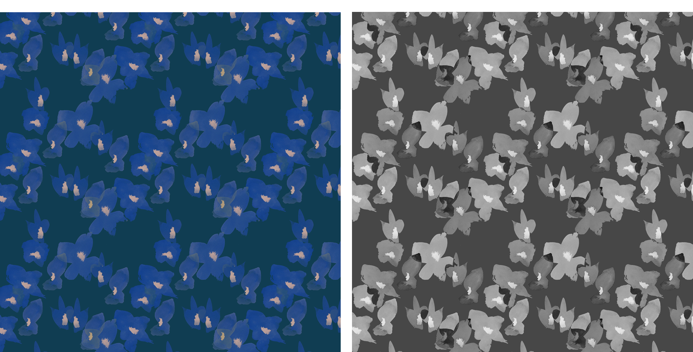 BluePoppyNewest2.jpg
