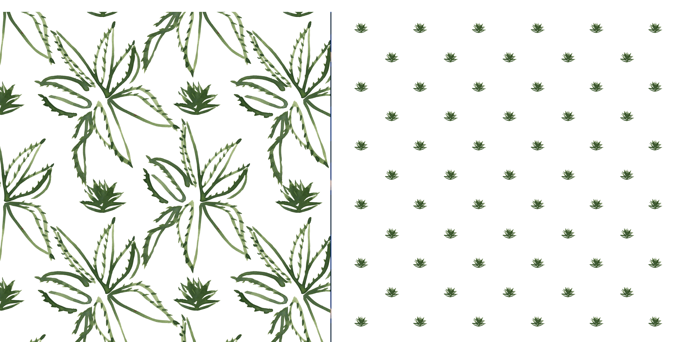 Agave2.jpg