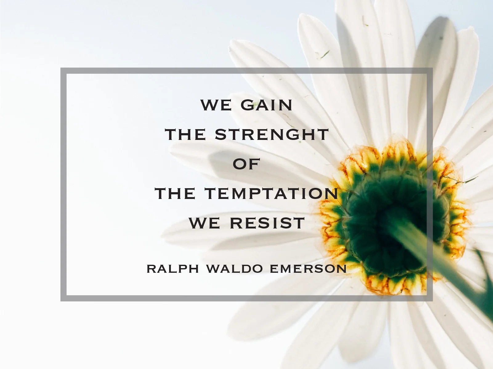 Free Desktop Wallpaper - We Gain Strenght