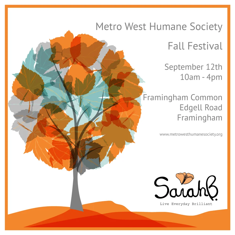 News - Got Plans Saturday?