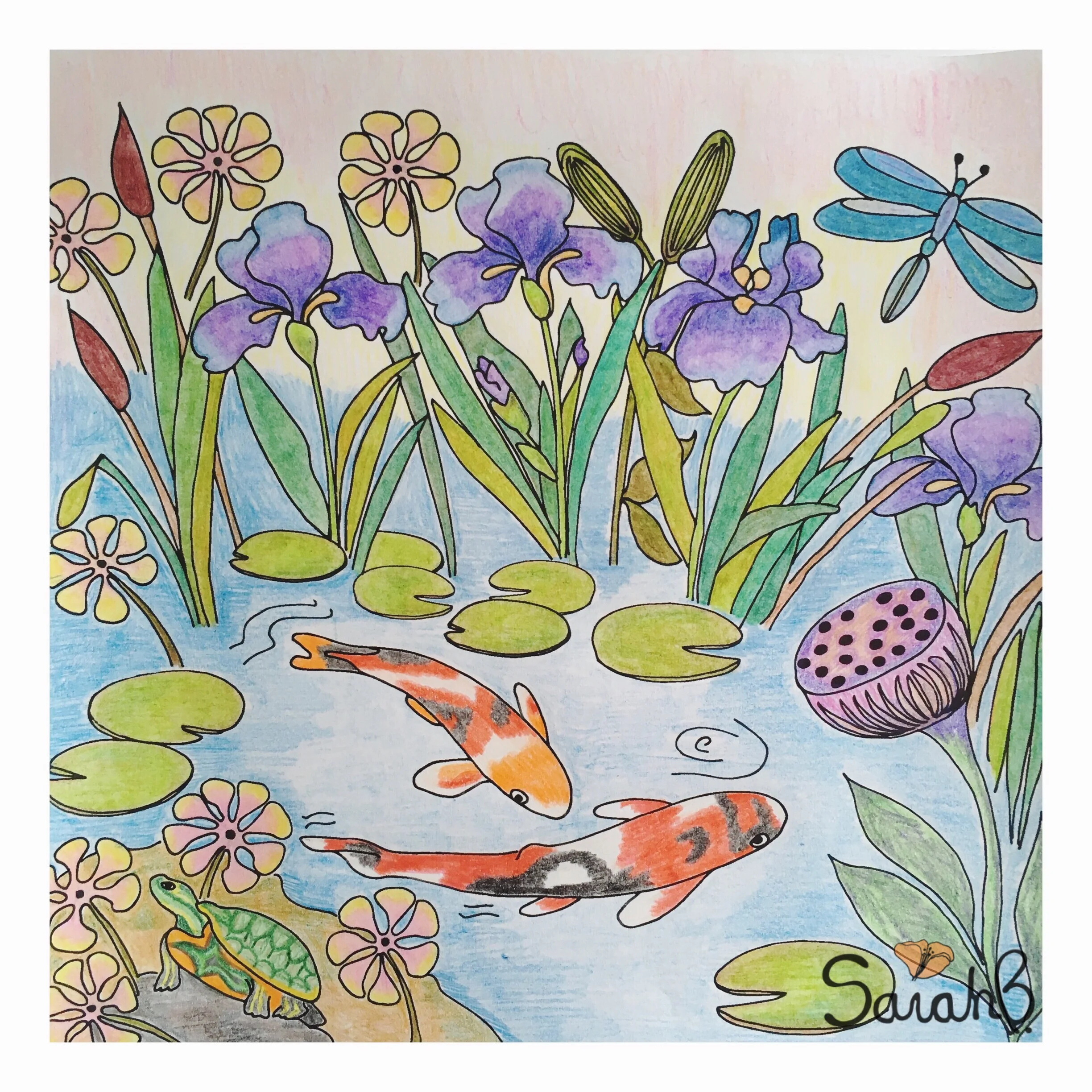 News - By the Pond, Coloring Book Page
