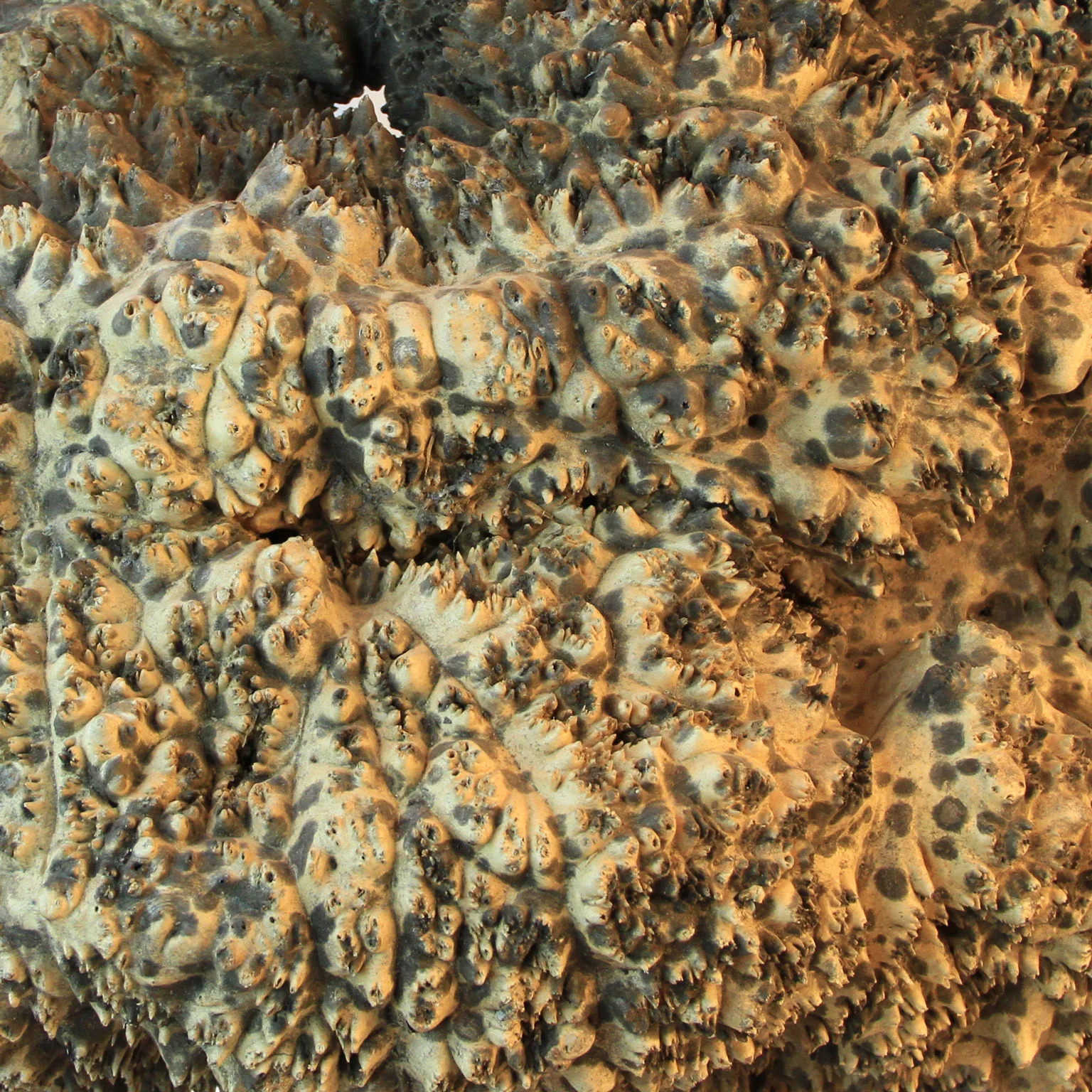 cropped_2_1536-6.jpg