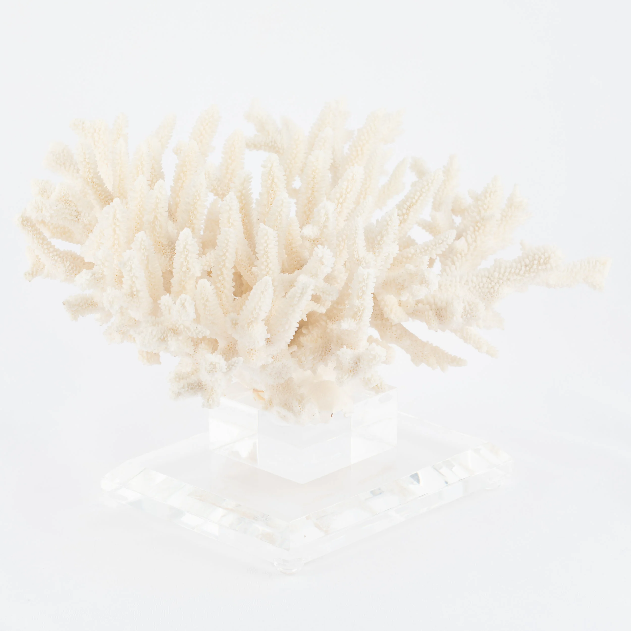 Coral_white_lucite-14.jpg