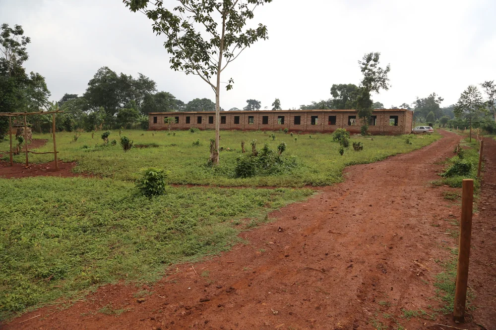 Looking from road toward new school