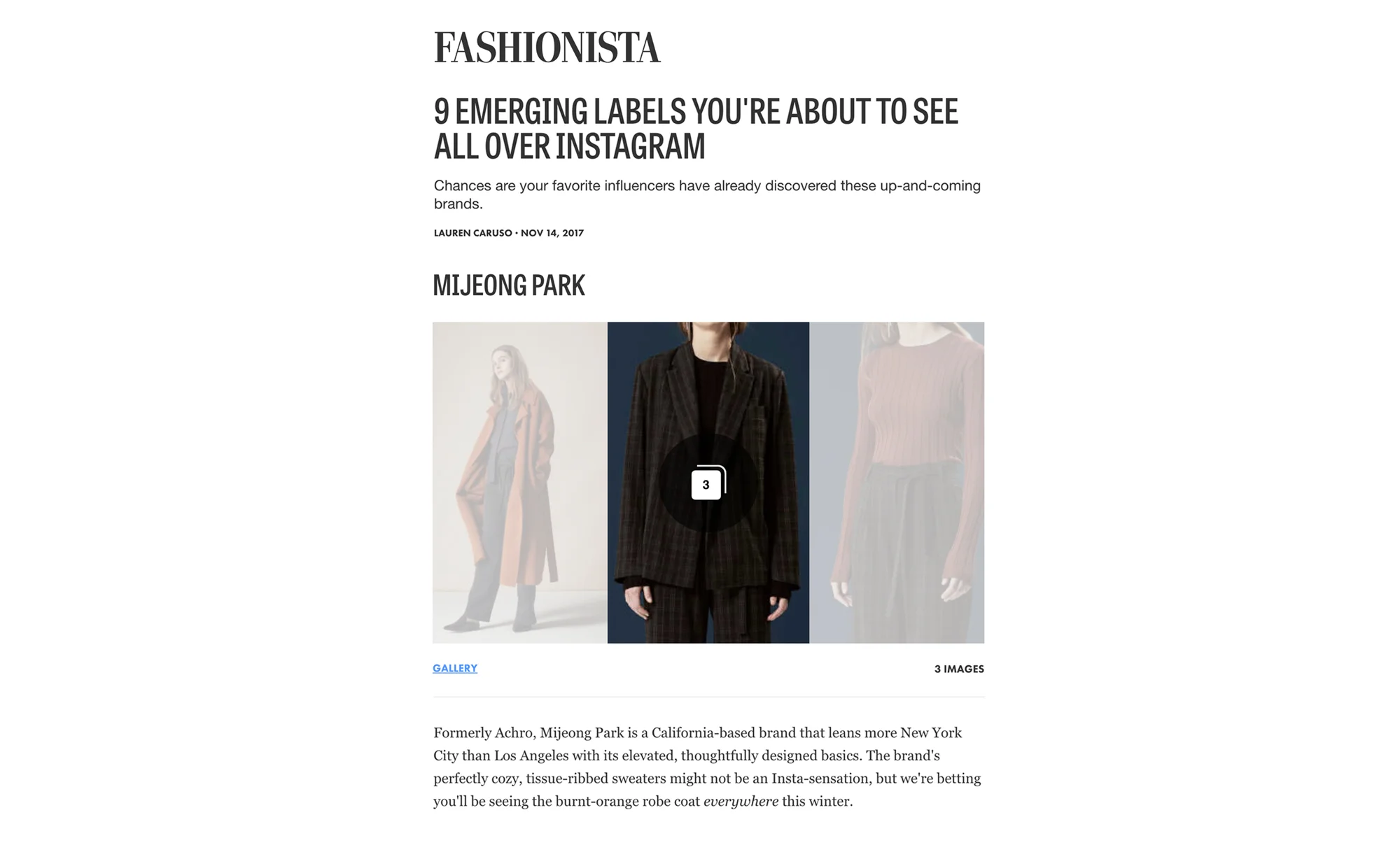 fashionista.jpg