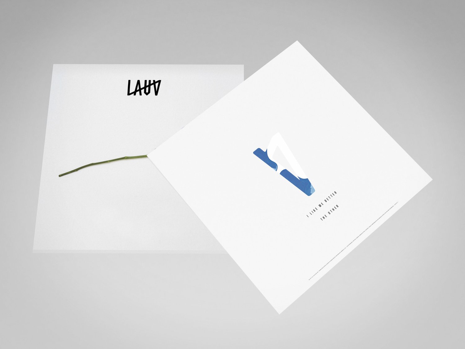 Lauv EP vinyl packaging back