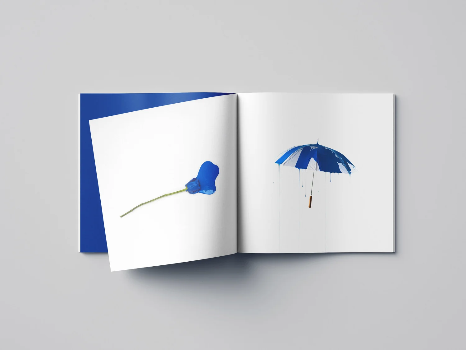 Lauv EP gatefold booklet spread