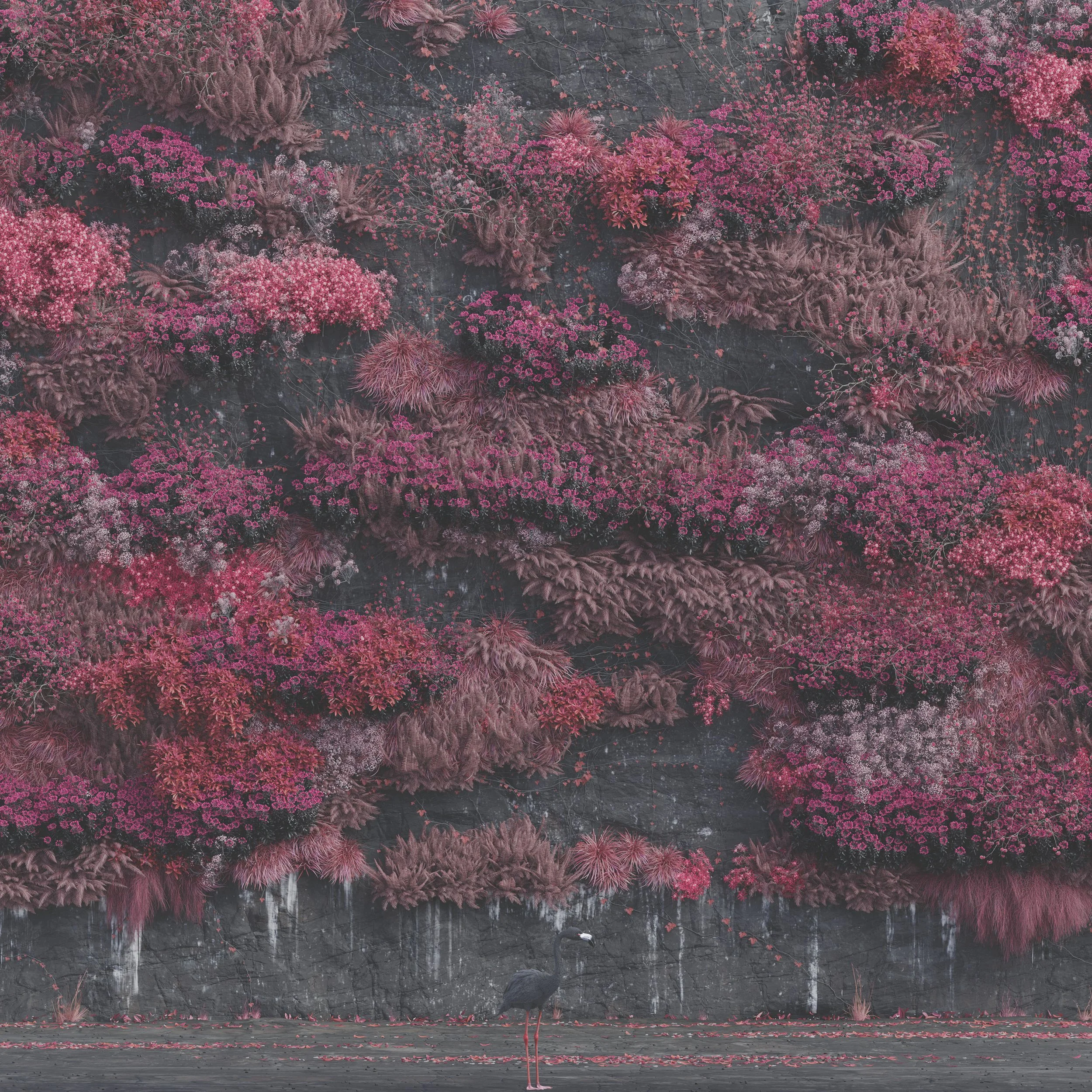 Even in Arcadia album cover