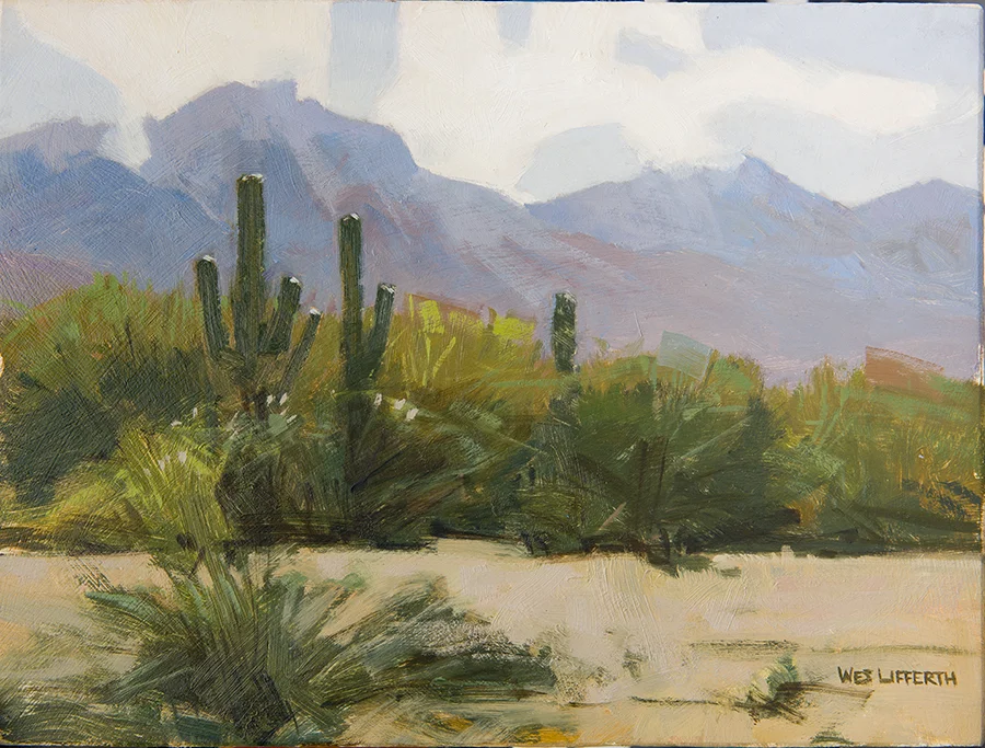 cactus (Tucson) -web.jpg
