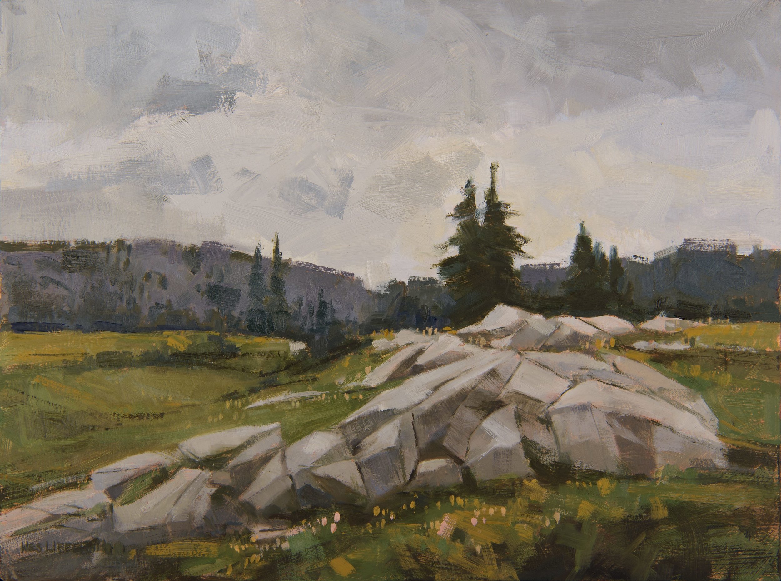 Albion 4, Stone Meadow -web.jpg