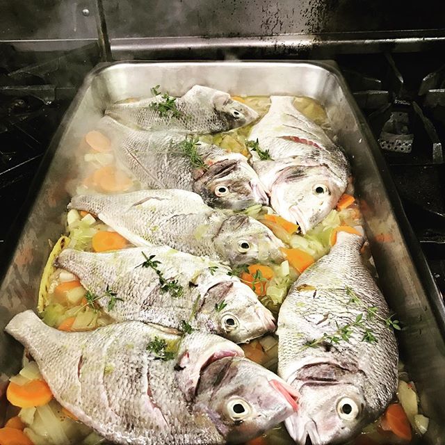 Saturday Family Meal.
Fresh Whole Porgy from Connecticut Shoreline. Mirepoix and White Wine....7/21/18