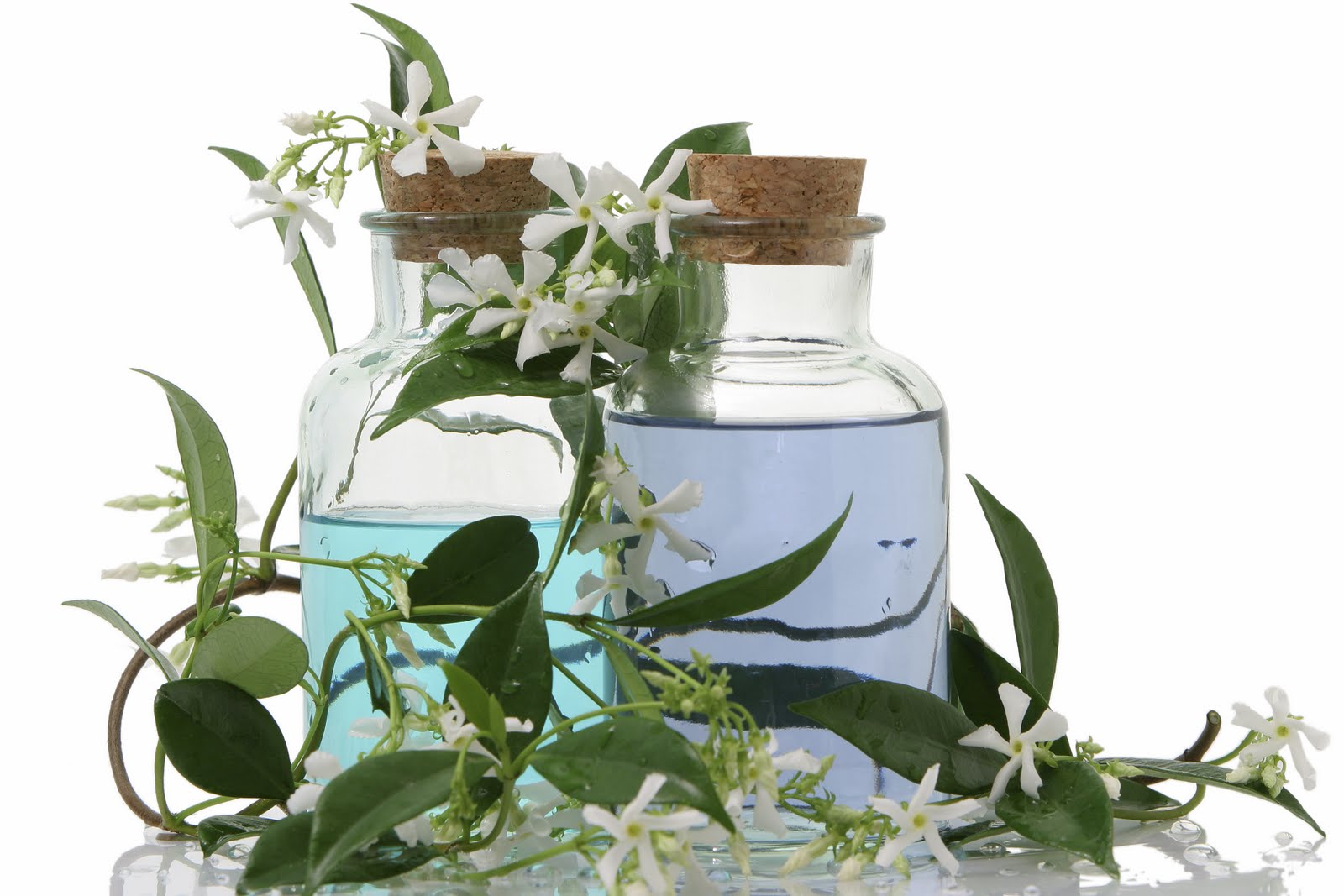 Aroma 3.jpg