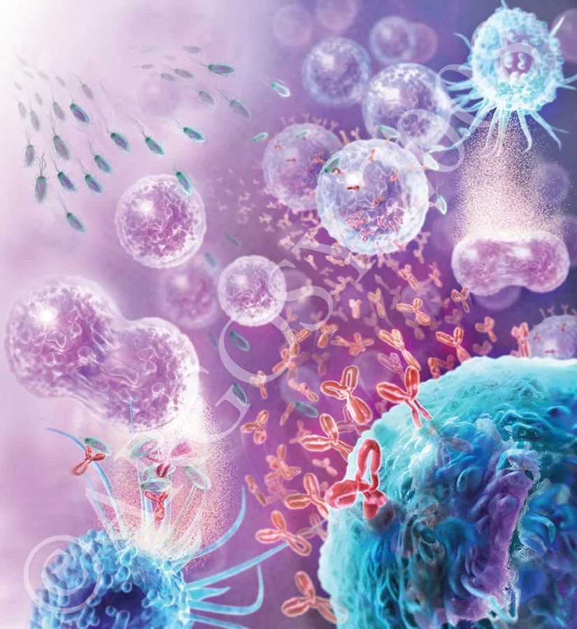 Immune System 2.jpg