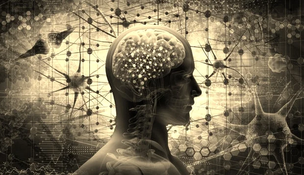 Brain 2.jpg
