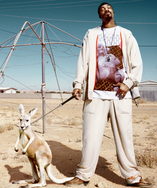 kangaroo.jpg