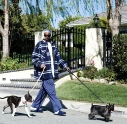 with dogs.jpg