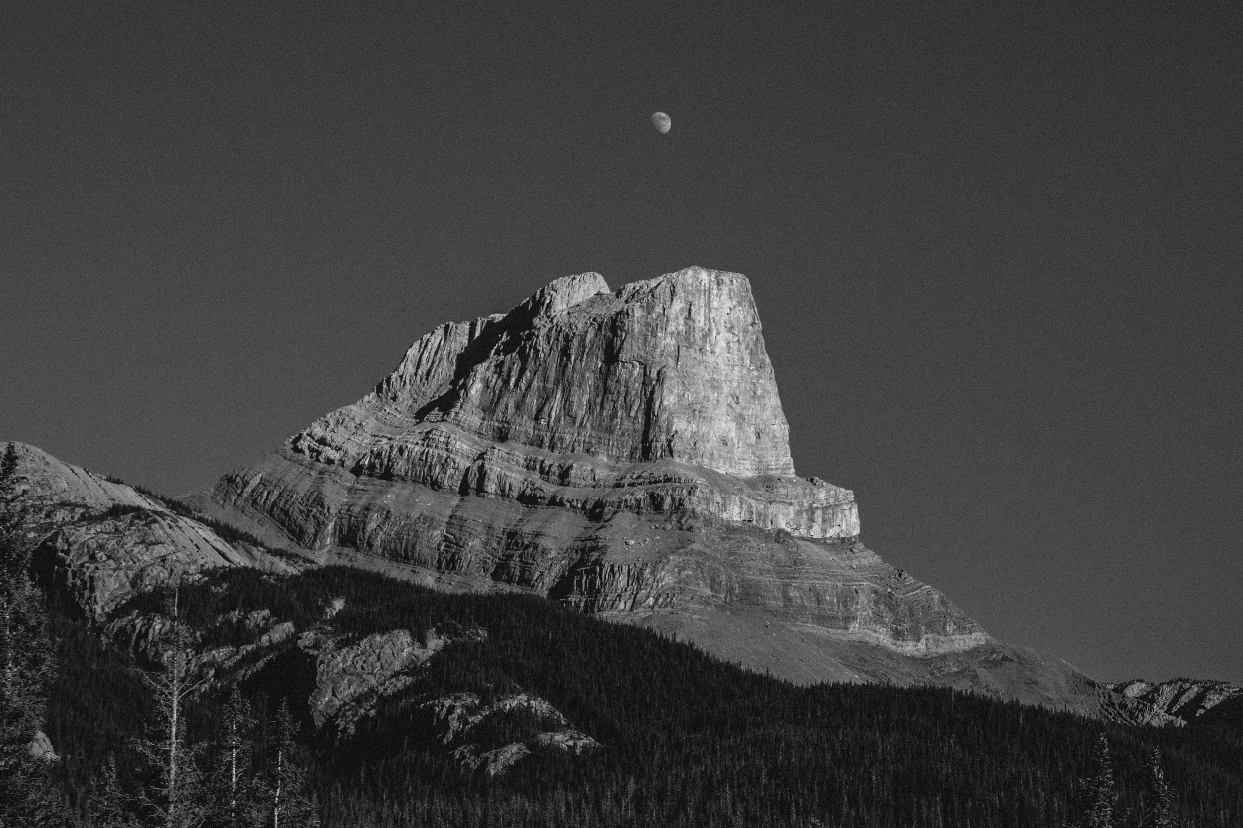 IMG_7647.jpg