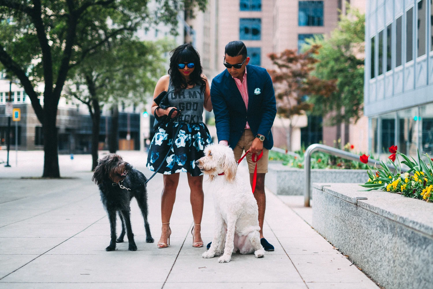 ADVENTURES IN DOG-SITTING