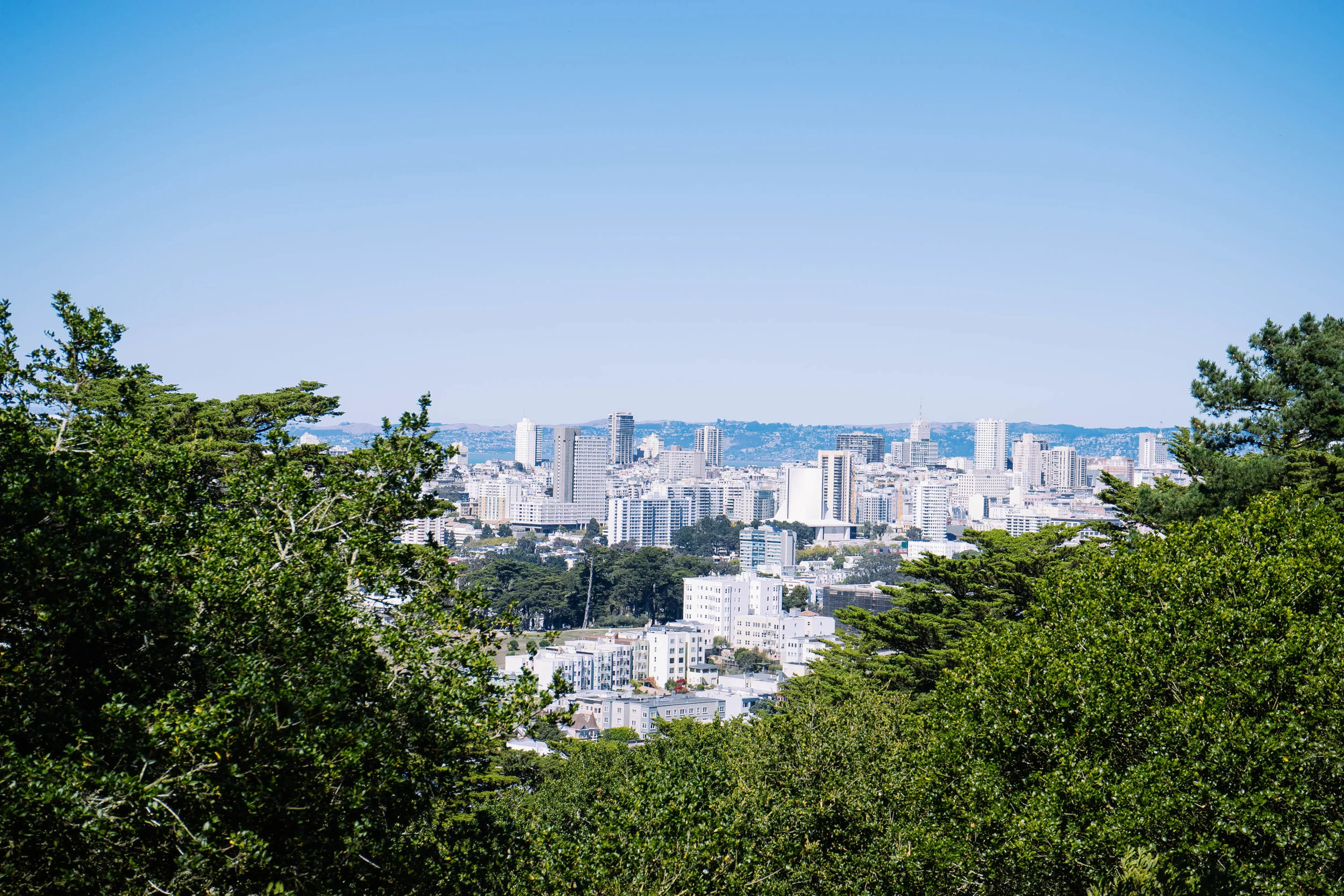 The view atop the hill at Buena Vista Park