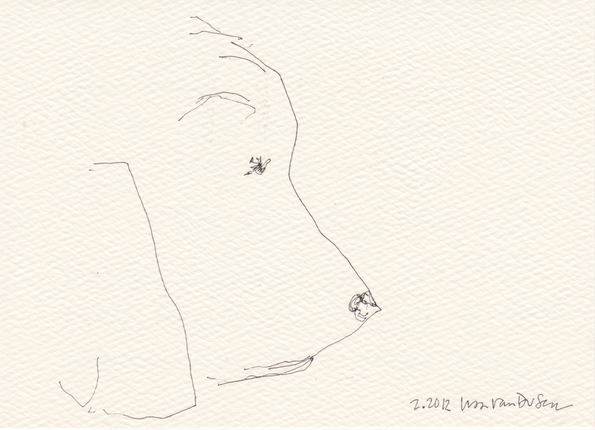 canine profile
