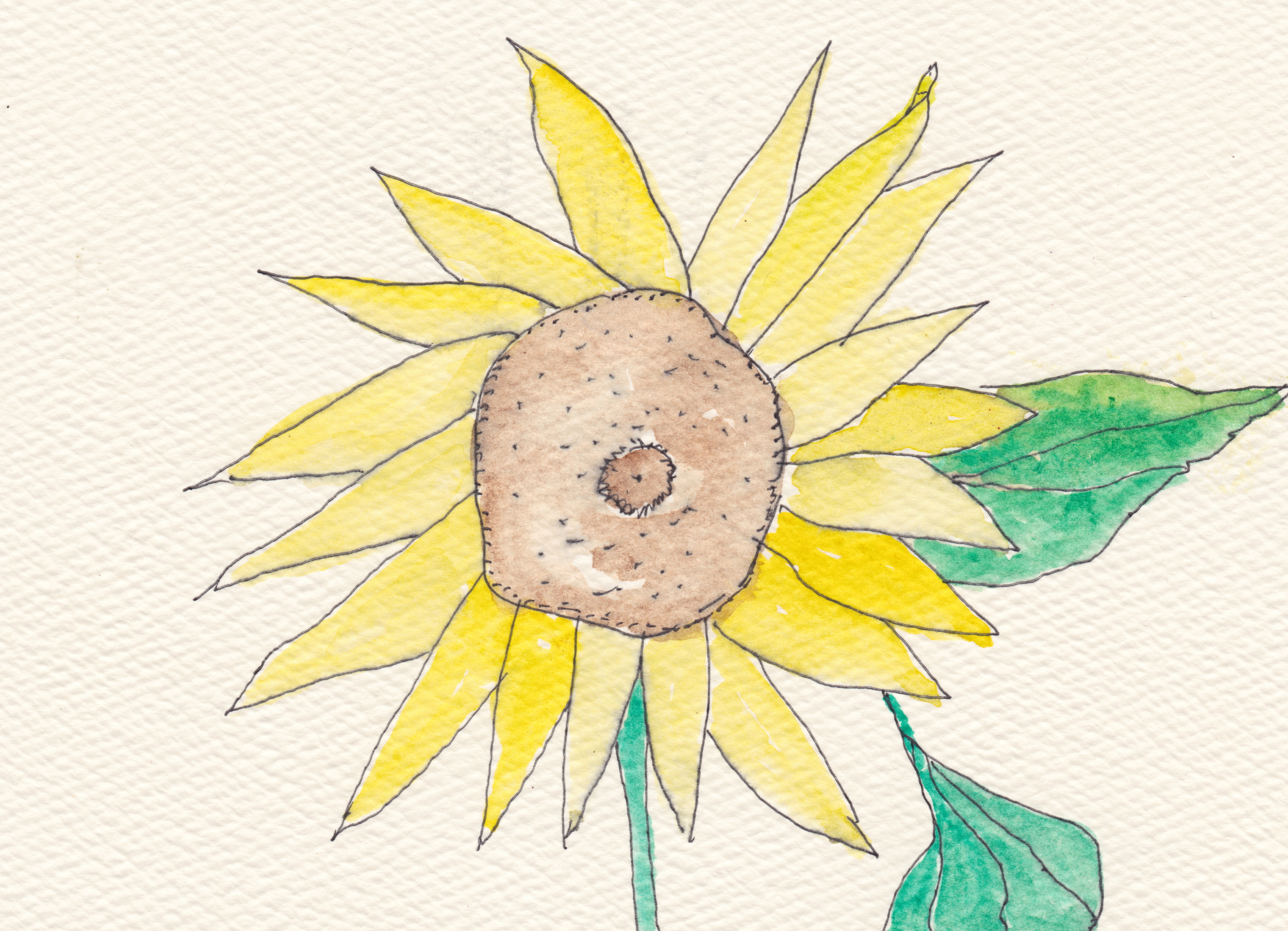 Sunflower for Julie 8.24.12 copy.jpg
