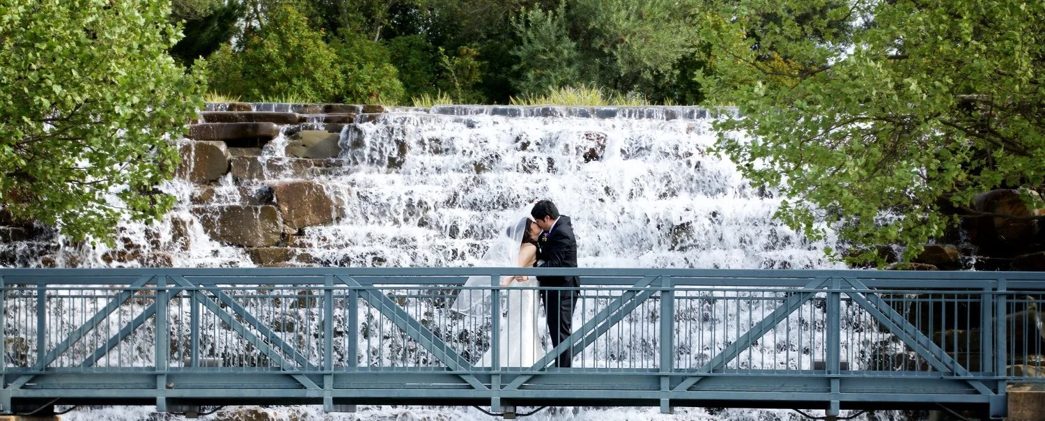 David and Stephanie-David and Stephanie-0100.jpg