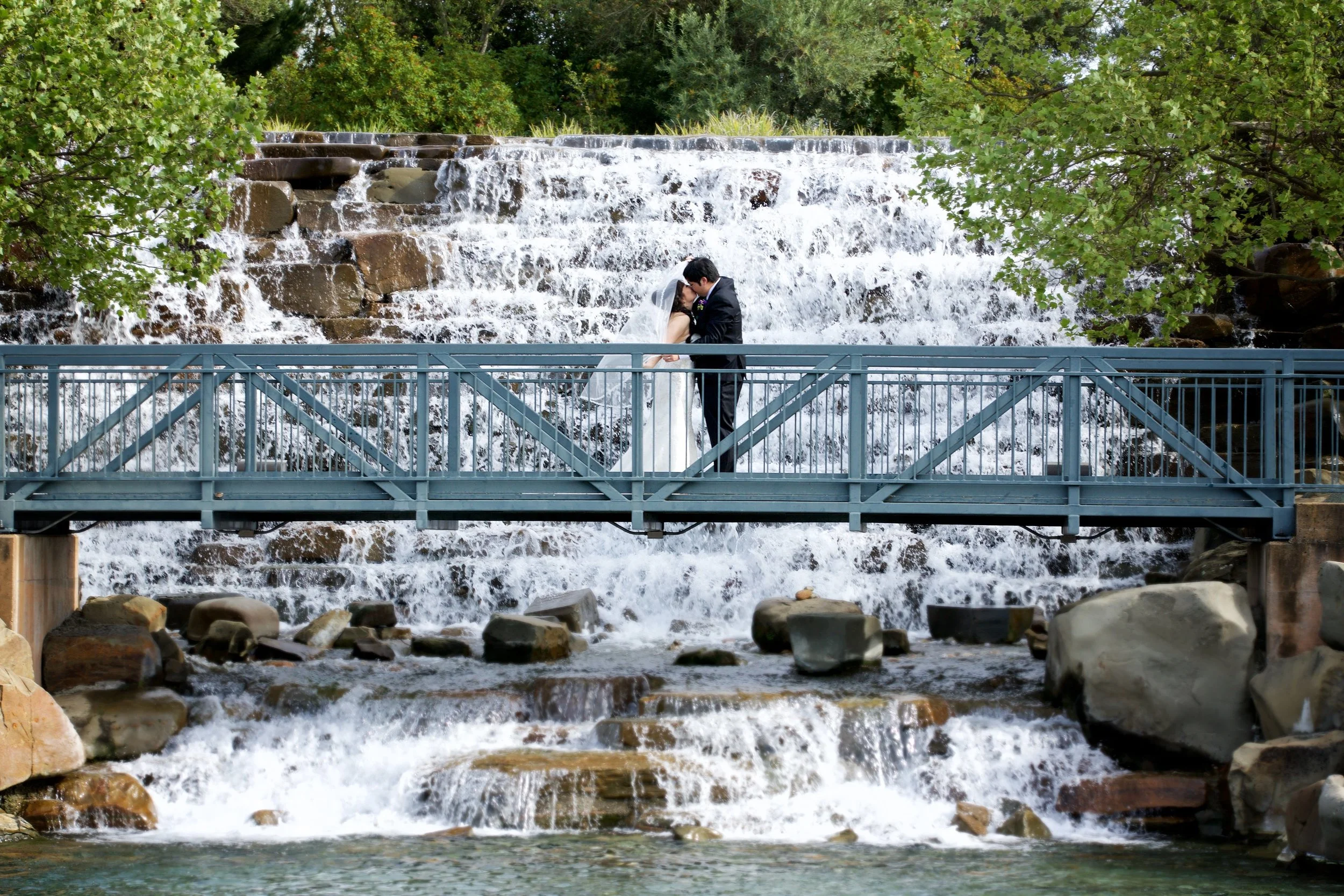 David and Stephanie-David and Stephanie-0100.jpg