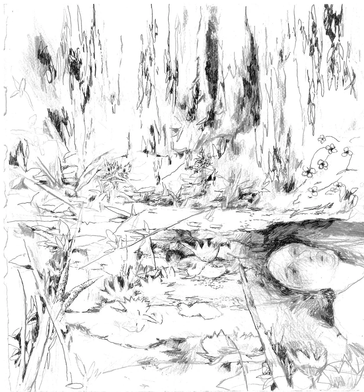 Lilies 1 copy 2.jpg
