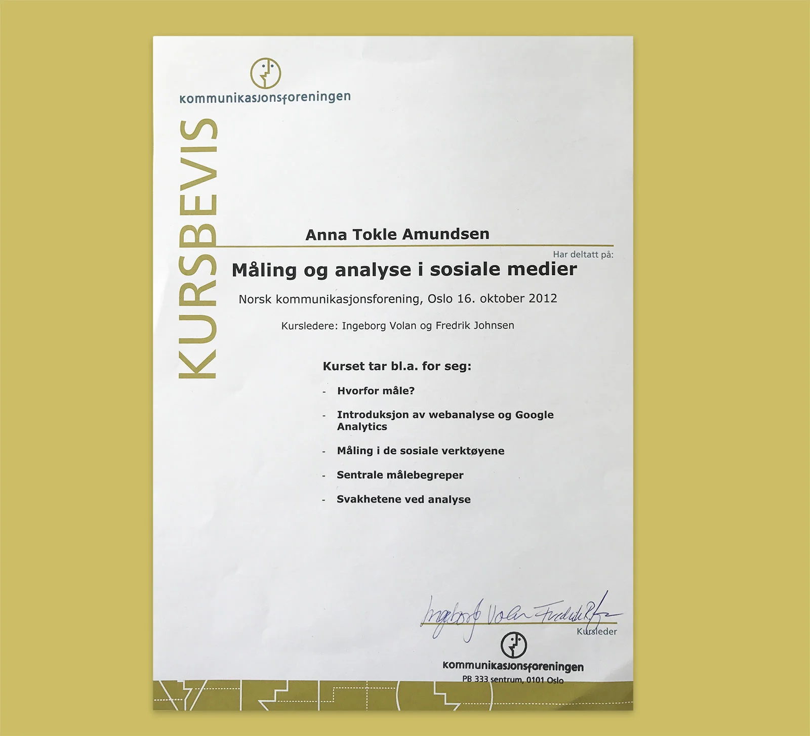 Kurs i sosiale media
