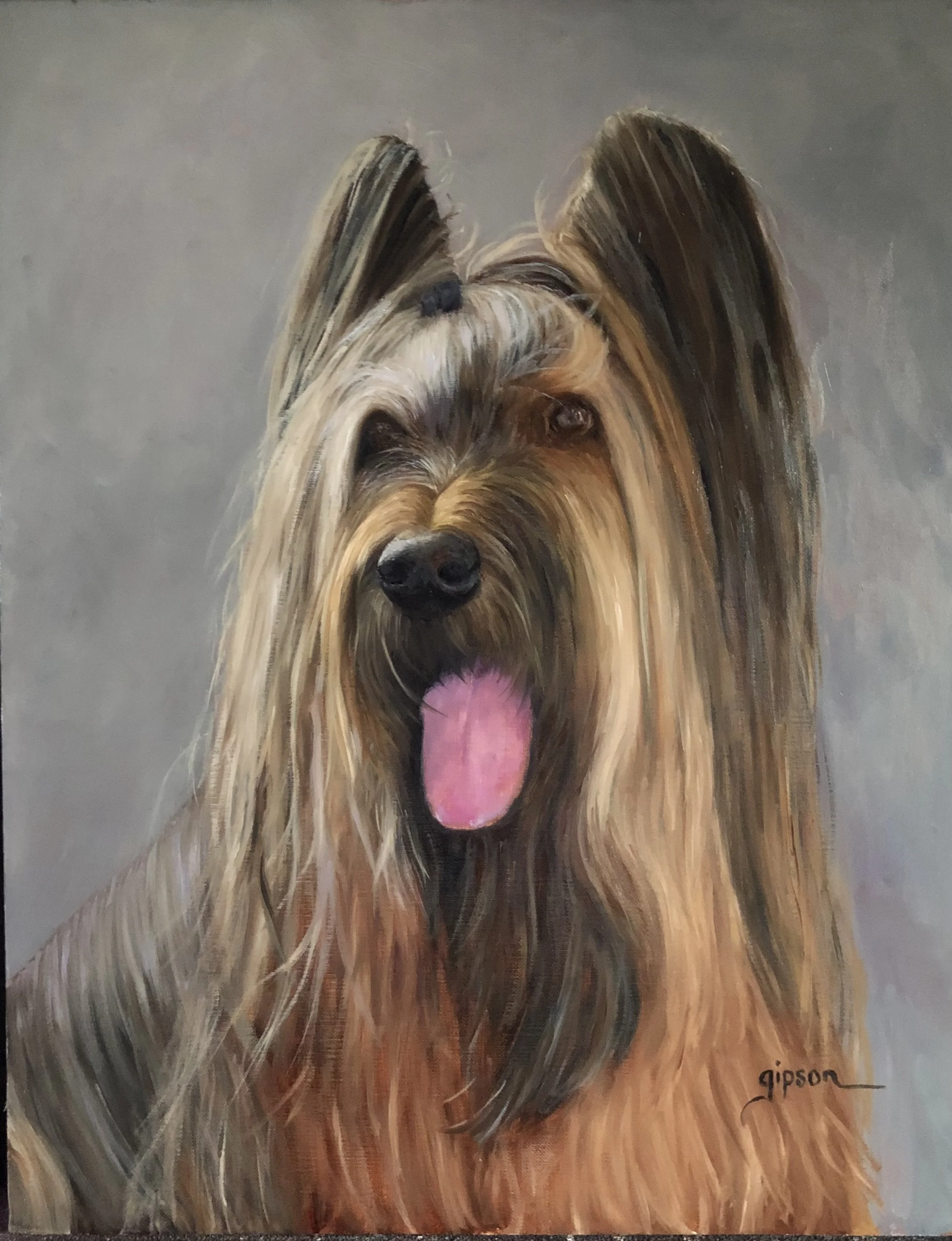 Hannah (Briard)