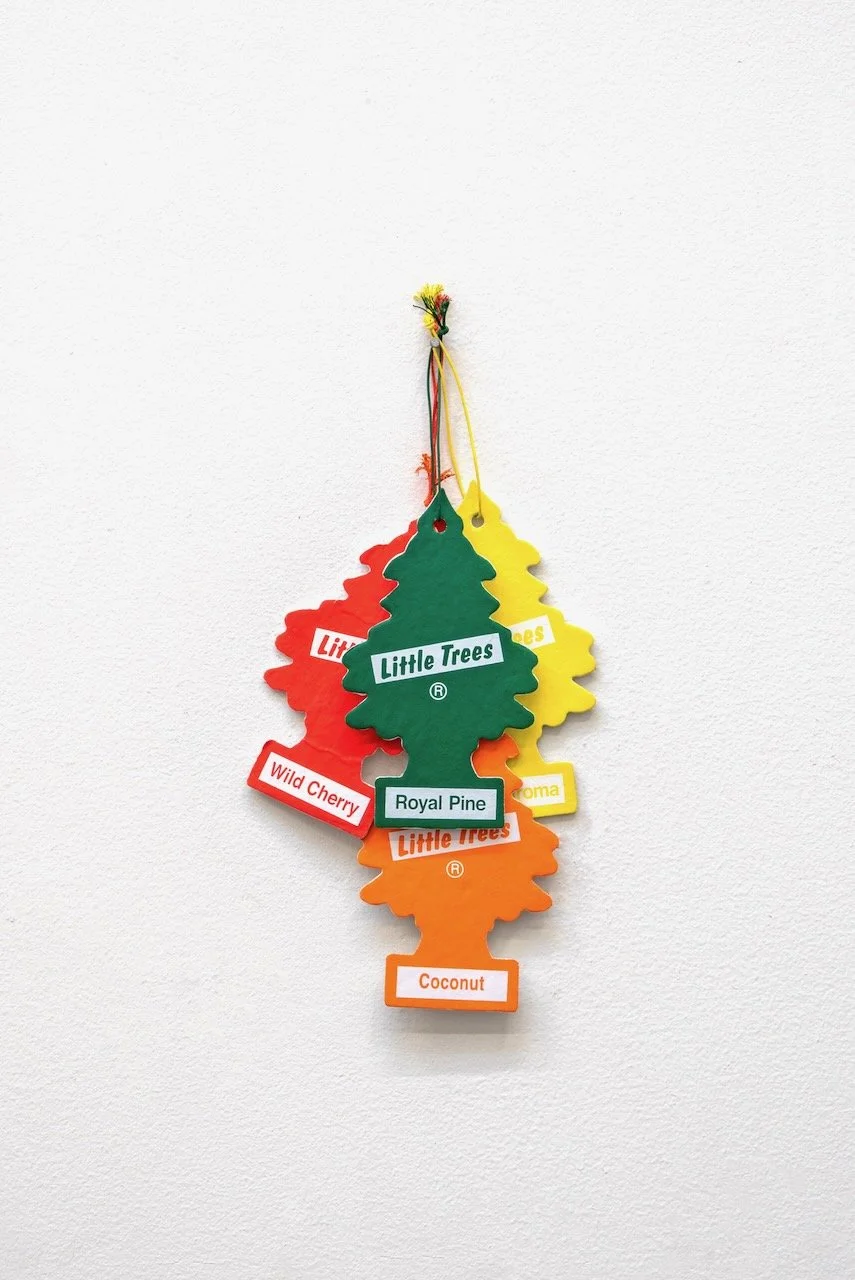 Vanilaroma, Wild Cherry, Coconut, Royal Pine, 2025