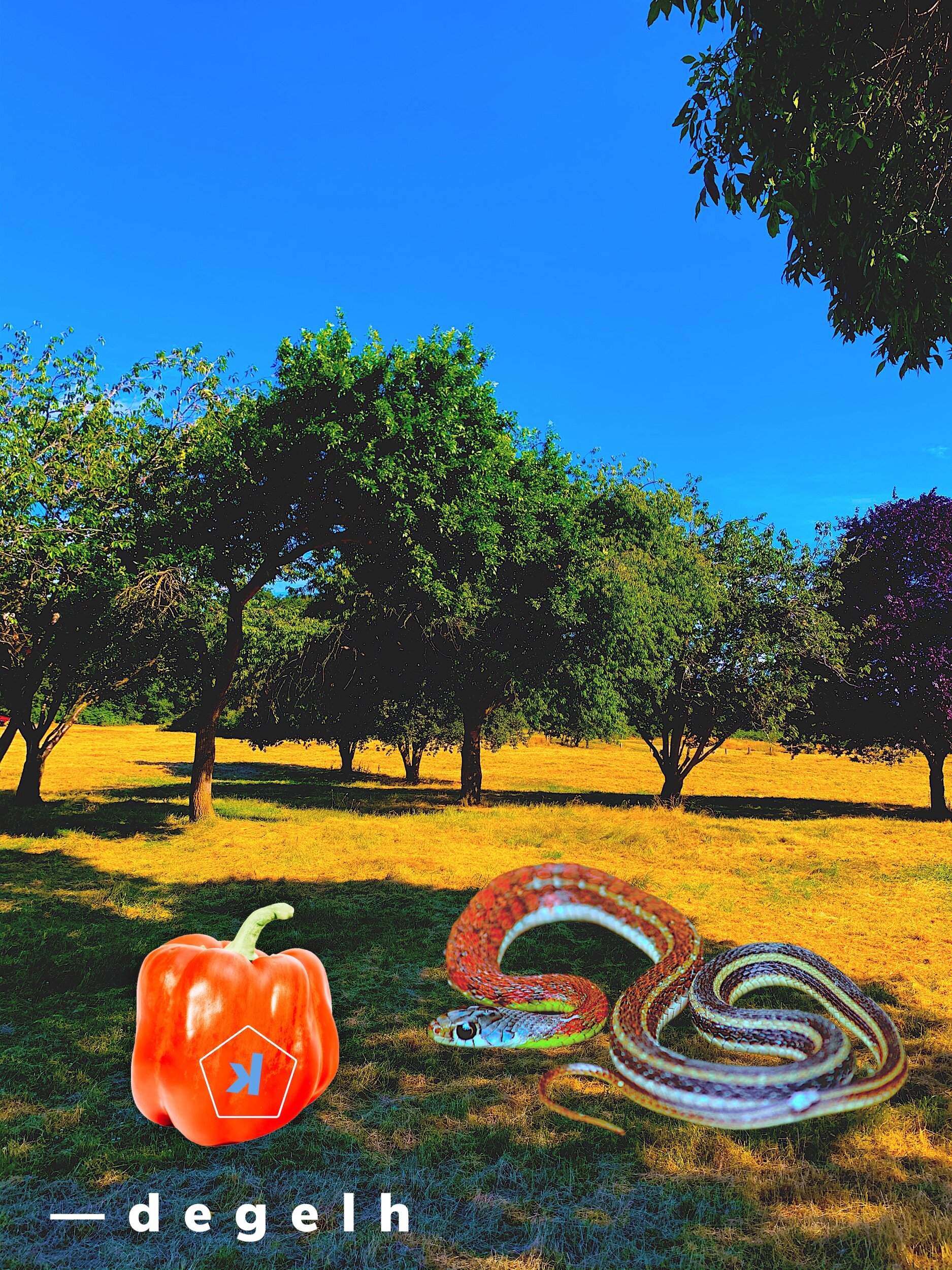 IMG_4464.jpeg