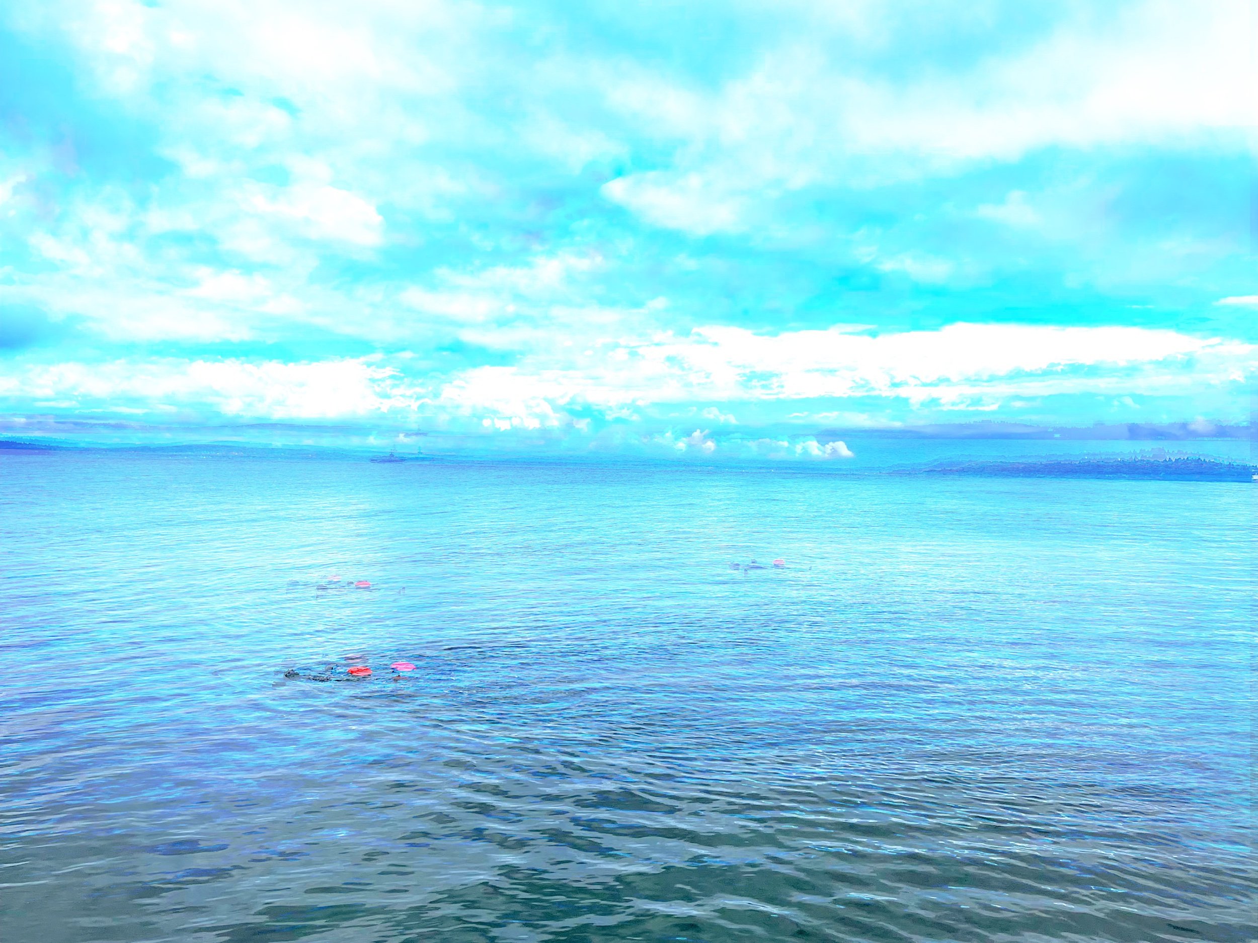 IMG_8937.jpeg
