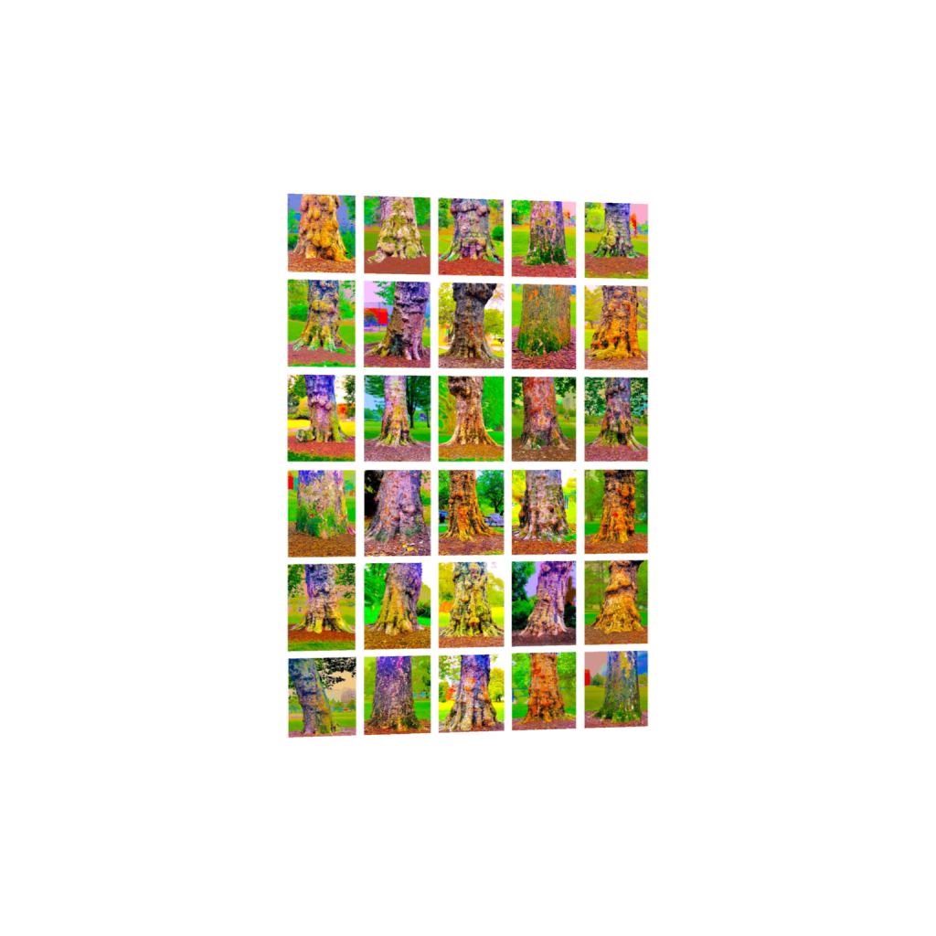 ptq_34_7_0_149_2980_4172_0_false_ffffff_0_0_.png