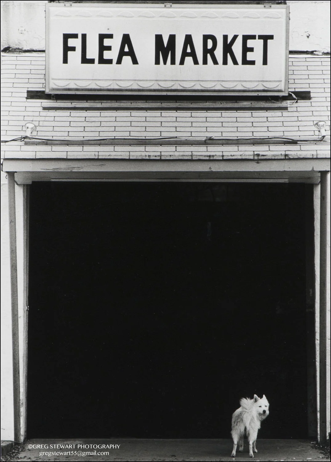 Creat005.jpg
