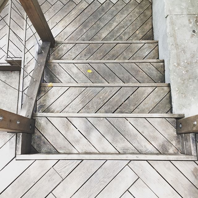 At this trendy hybrid coffee/barber shop, it pays off to watch where you step
.
.
.
.
#2yokedesign #shaveandahaircut #coffeetime #brooklynlife #herringbone #silverwood #brooklyndesign #outdoorcafe #godisinthedetails