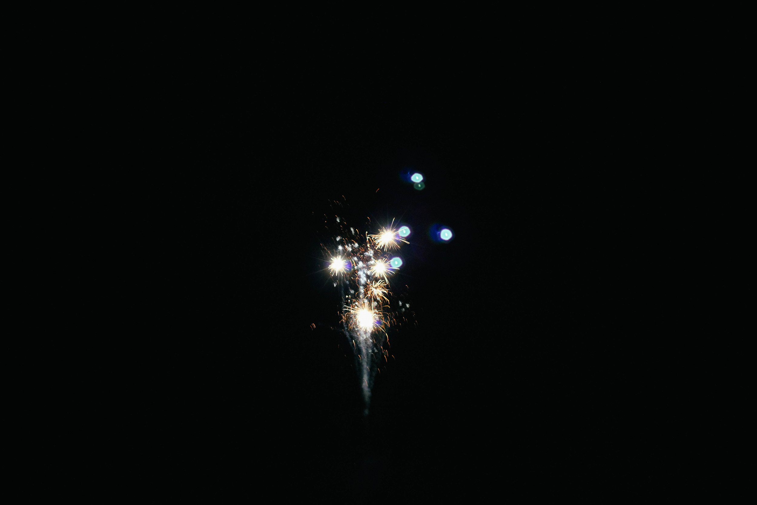 IMG_2619.jpg