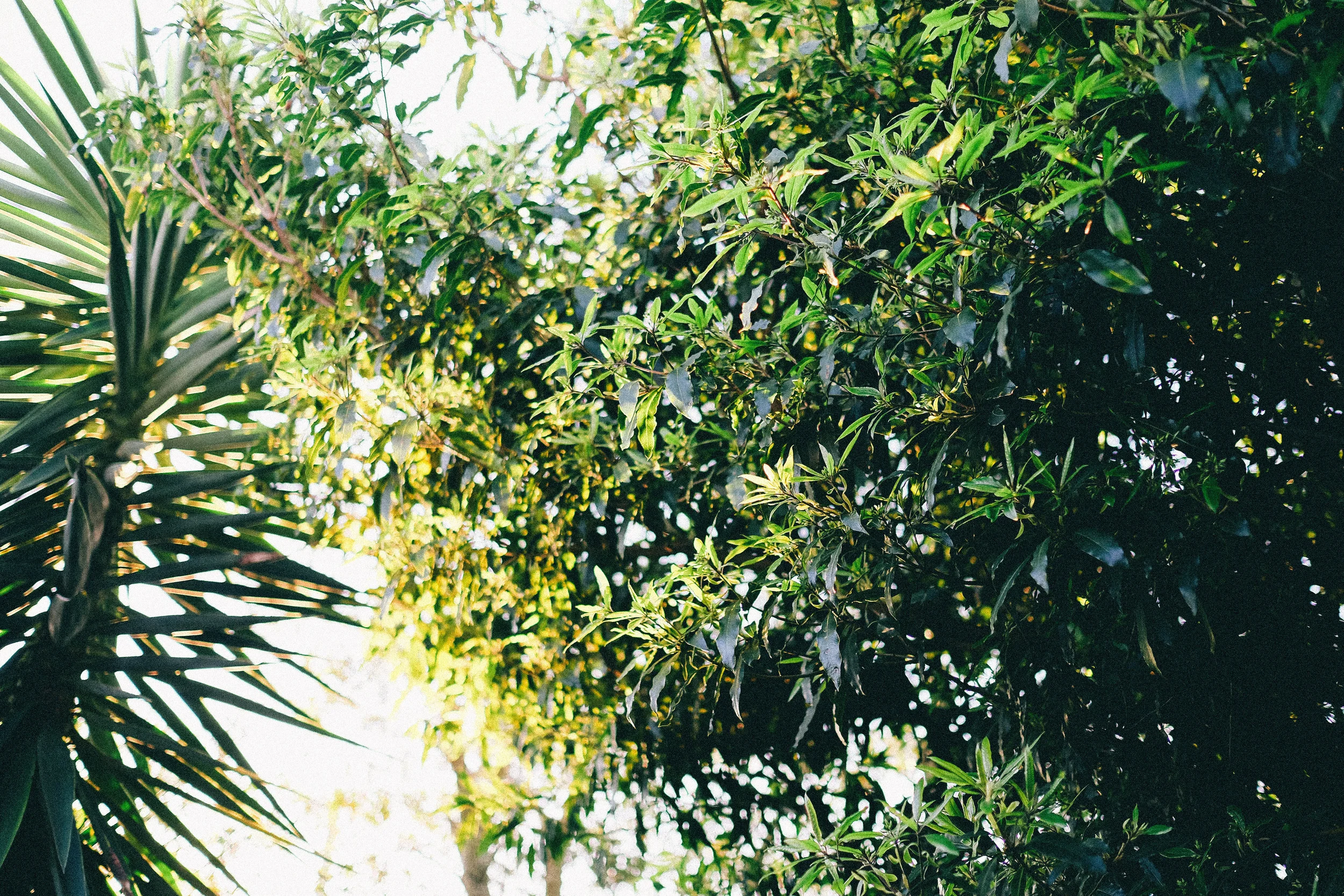 DSCF8677.jpg