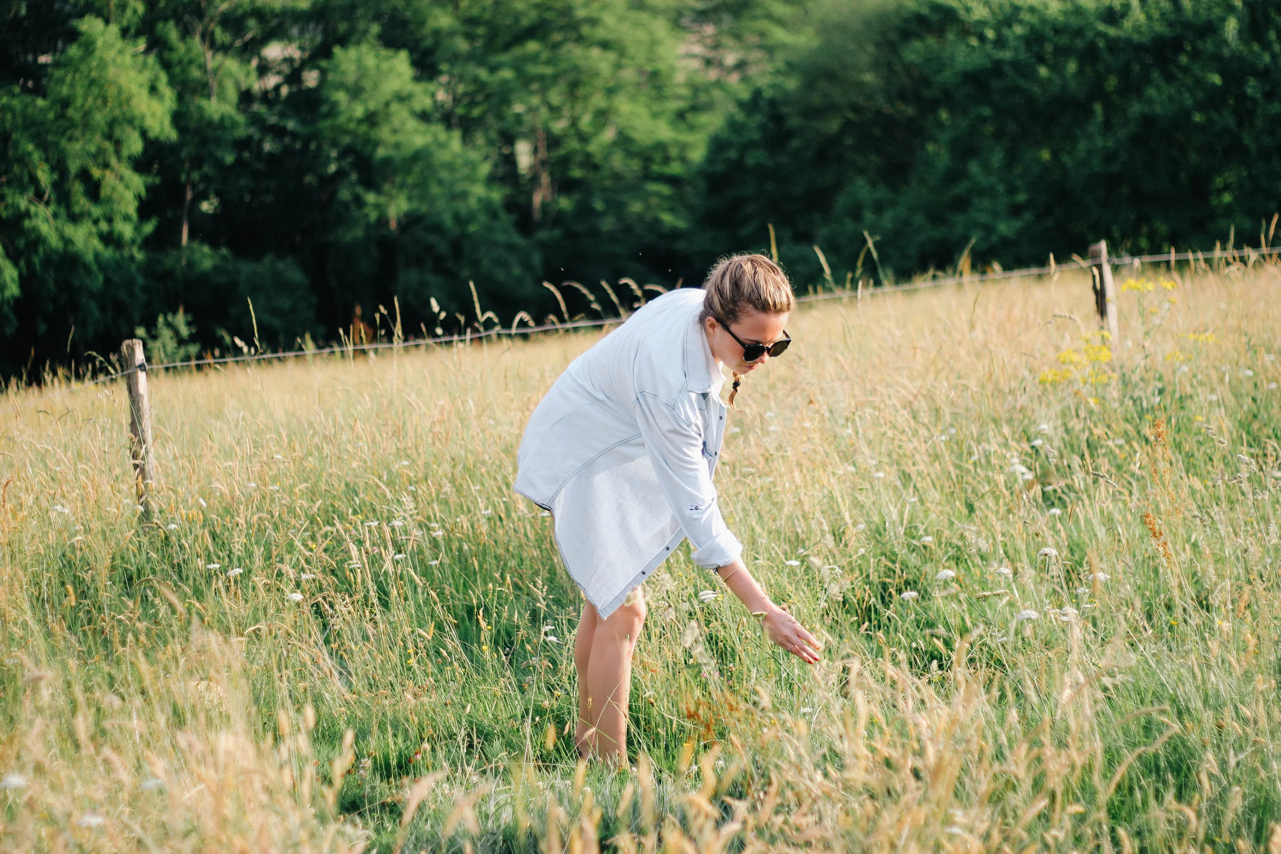 In The Fields of Gold - Joy Felicity Jane