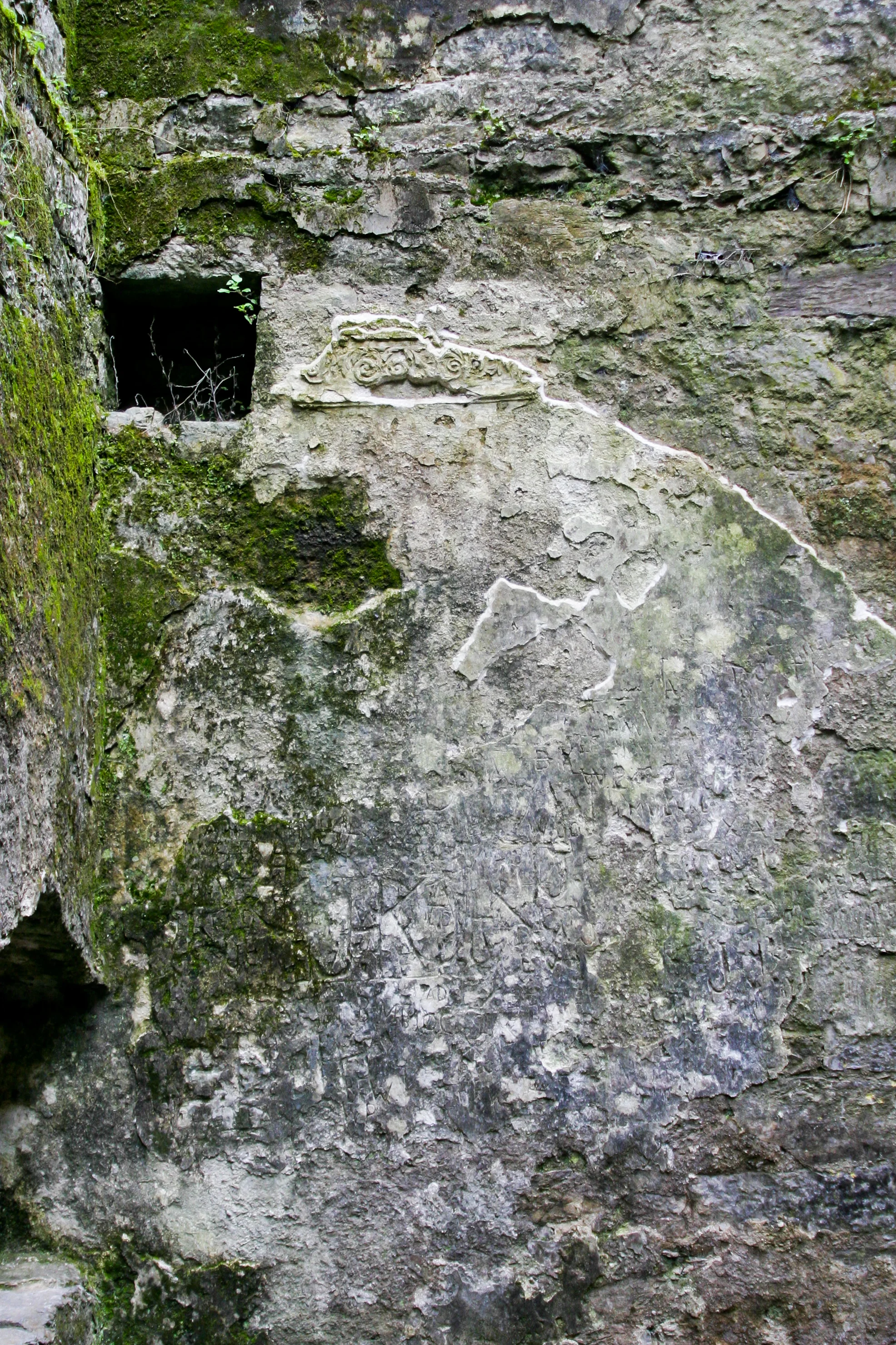 20130511-IMG_8194.jpg