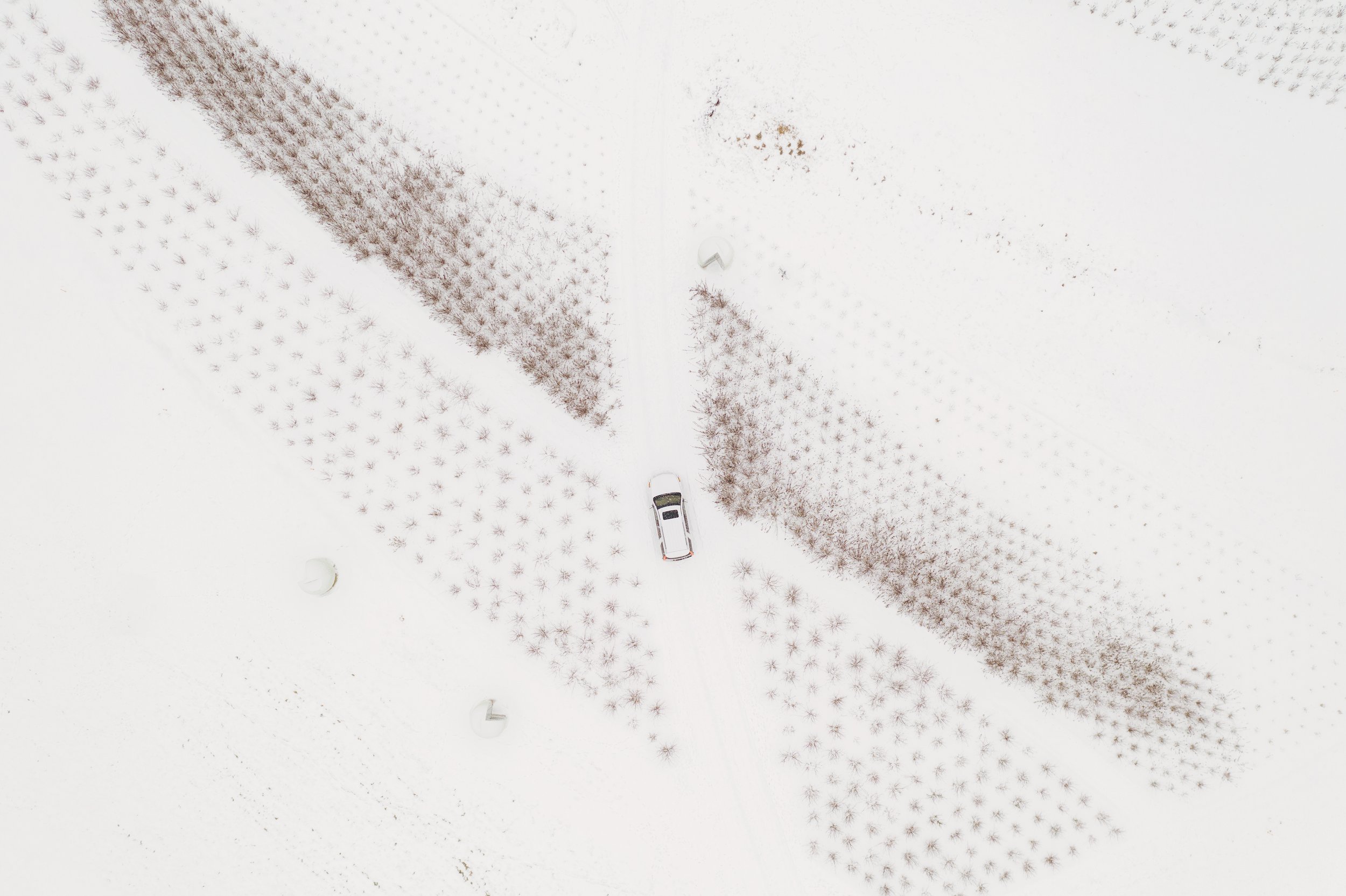 DJI_0303.jpg