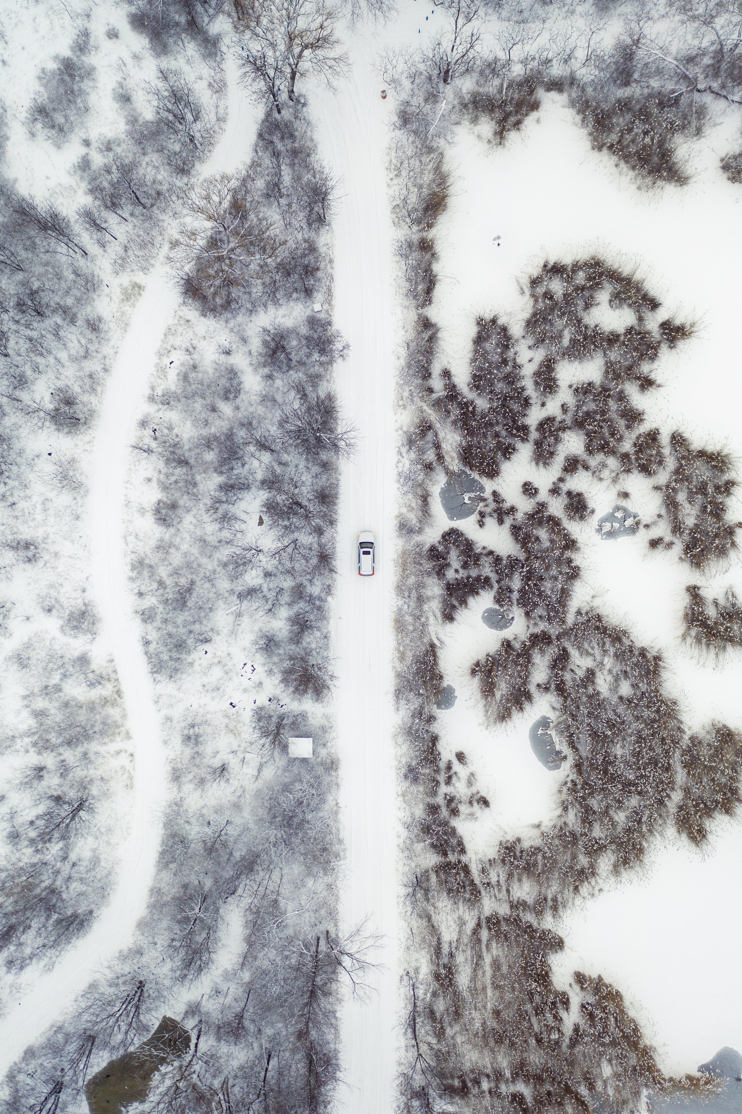 DJI_0035 2.jpg