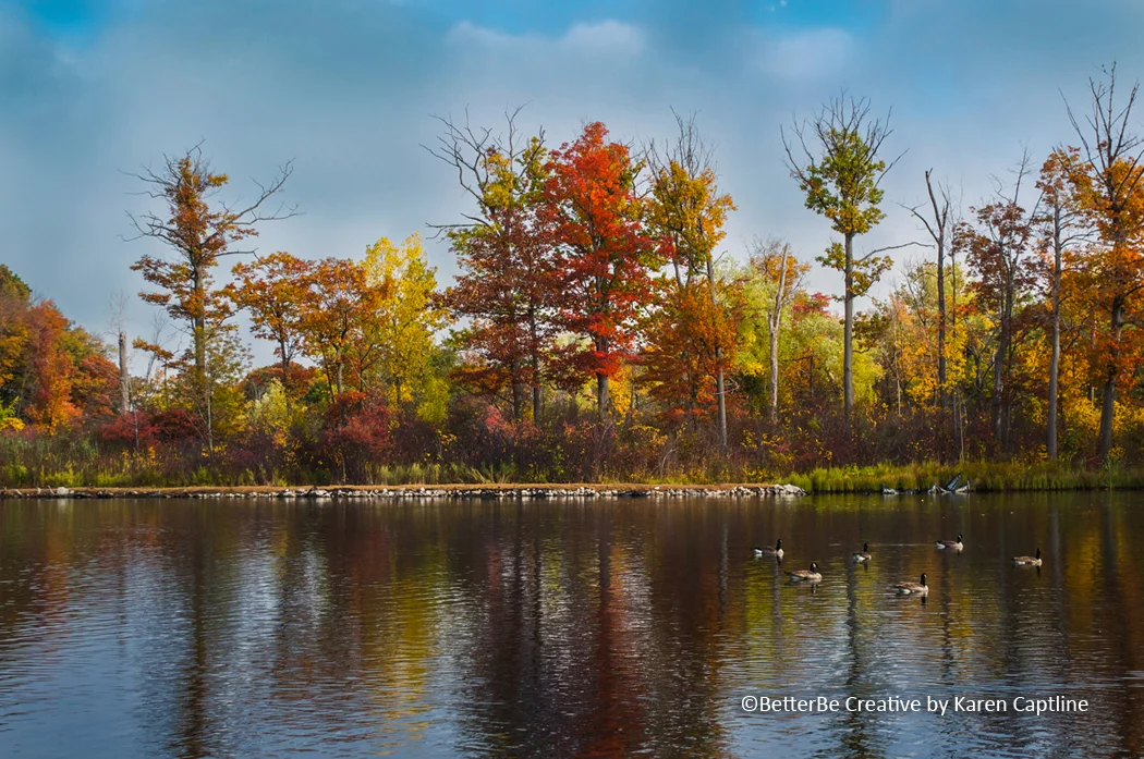 BOTANICAL - Autumn splendor.jpg