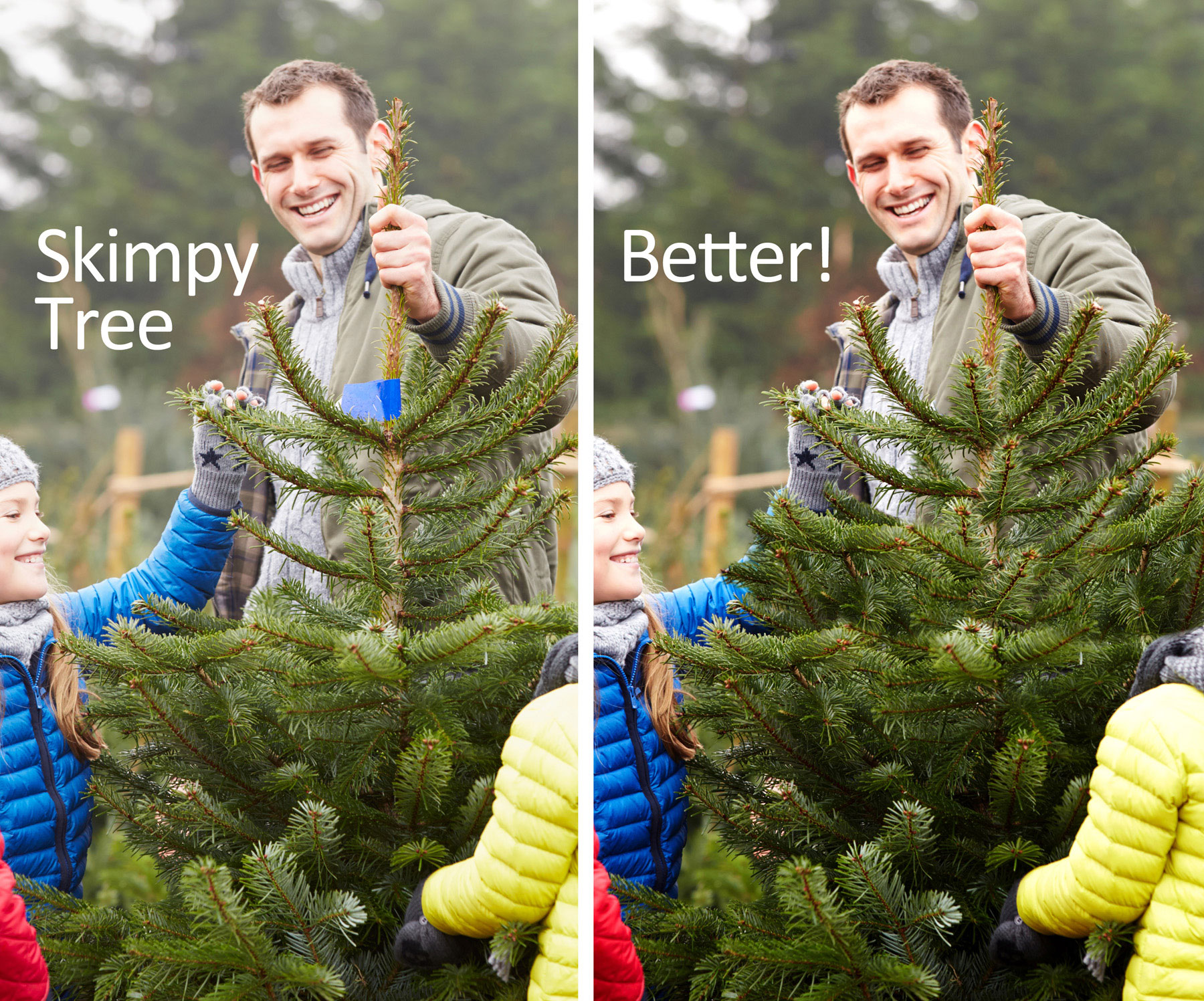This tree had some issues. I needed to remove that blue tag and make it a little more Christmas-worthy. Mission accomplished!