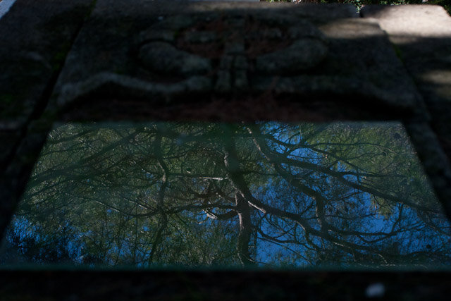 20120302_MG_3109.jpg