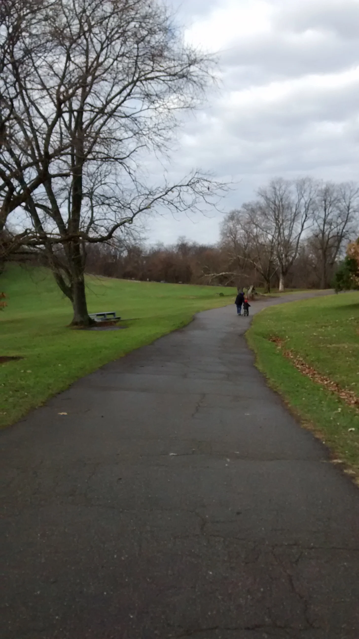 Daily Bible Reading - Friday, December 30