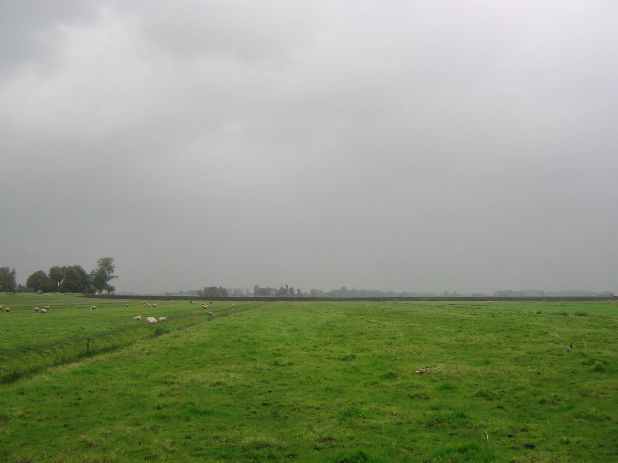 Daily Bible Reading - Thursday, February 23