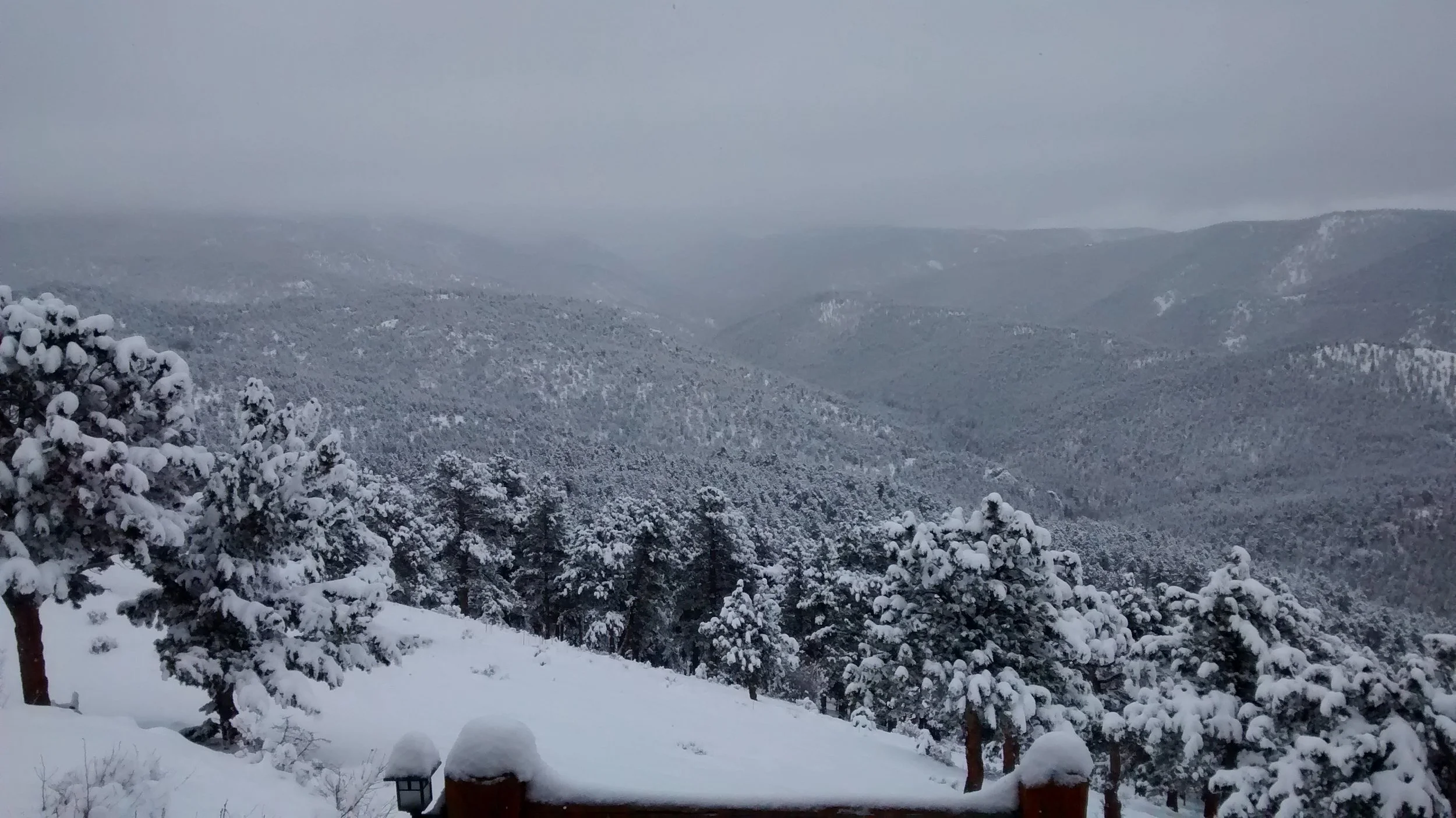 Daily Bible Reading - Thursday, March 2