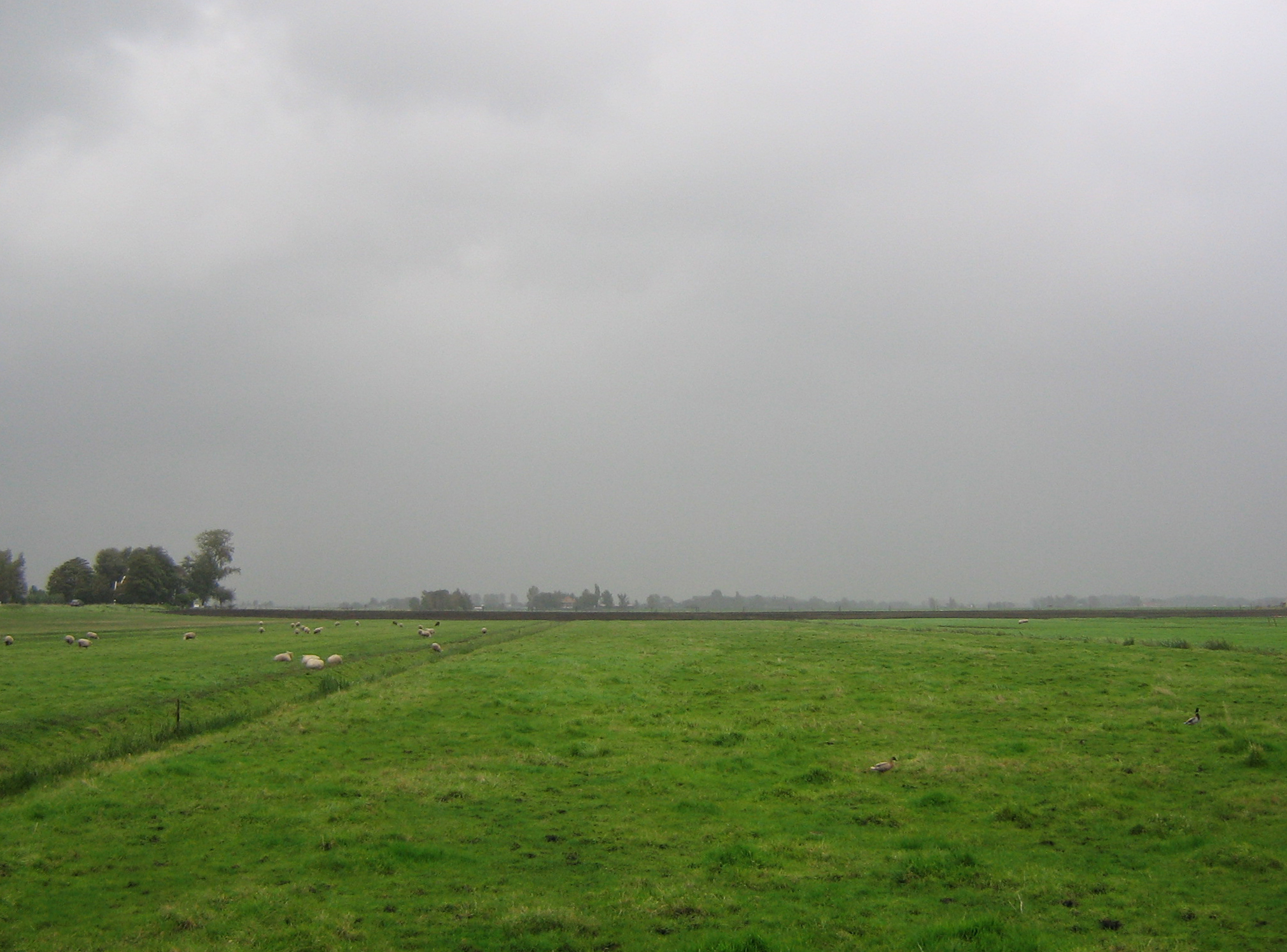 Daily Bible Reading - Wednesday, August 23