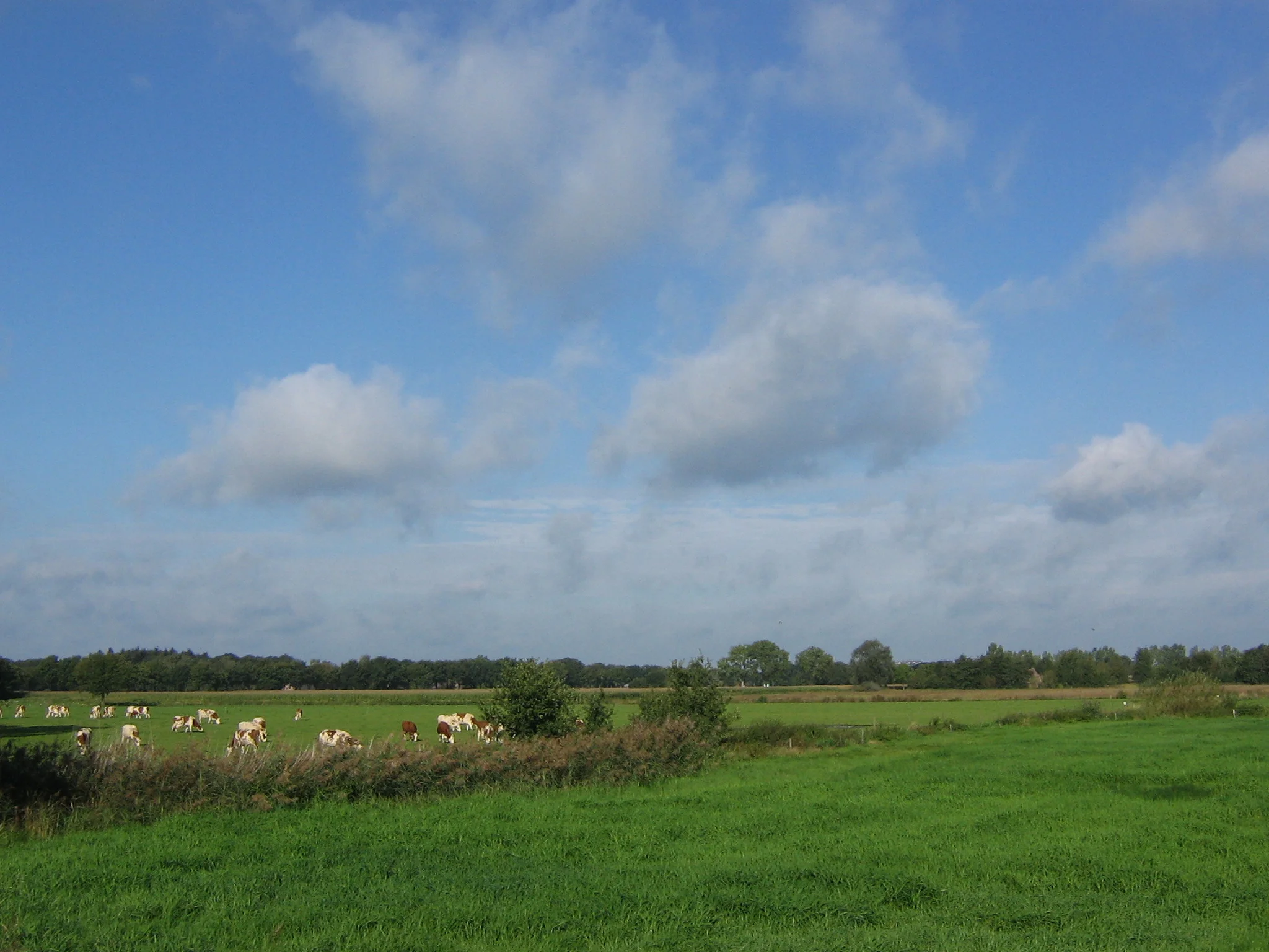 Daily Bible Reading - Friday, September 15